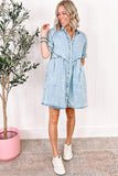 Ruffled Short Sleeve Buttoned Denim Dress