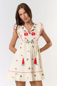 Ruffle Sleeve Embroidered Mini Dress